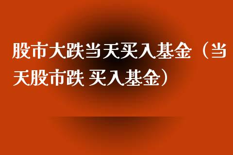 股市大跌当天买入基金（当天股市跌 买入基金）_https://www.kuaijiepai.net_期货理财_第1张