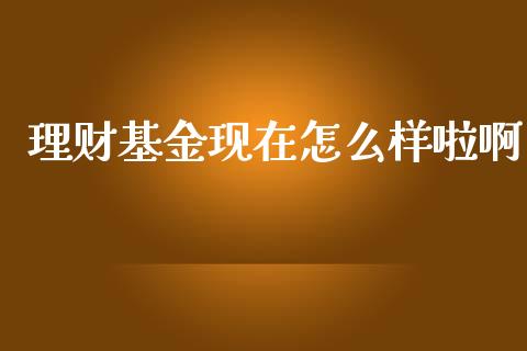 理财基金现在怎么样啦啊_https://www.kuaijiepai.net_期货理财_第1张