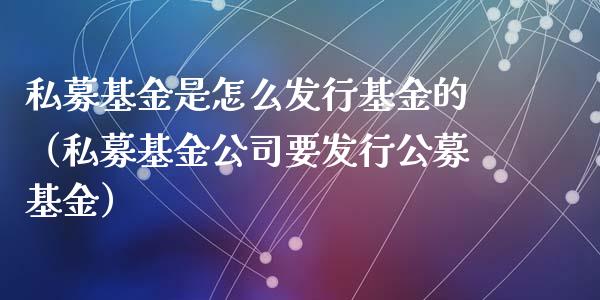 私募基金是怎么发行基金的（私募基金公司要发行公募基金）_https://www.kuaijiepai.net_期货理财_第1张