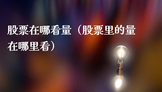 股票在哪看量（股票里的量在哪里看）_https://www.kuaijiepai.net_新股新闻_第1张