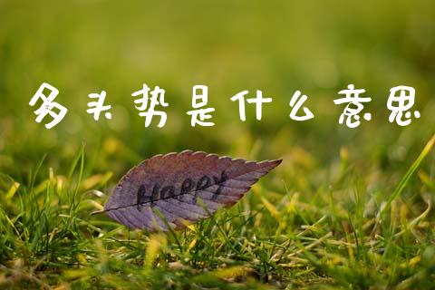 多头势是什么意思_https://www.kuaijiepai.net_期货在线_第1张