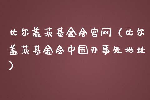 比尔盖茨基金会官网（比尔盖茨基金会中国办事处地址）_https://www.kuaijiepai.net_投资理财_第1张