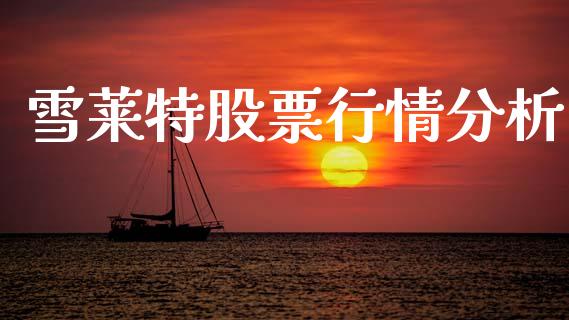 雪莱特股票行情分析_https://www.kuaijiepai.net_股票理论_第1张