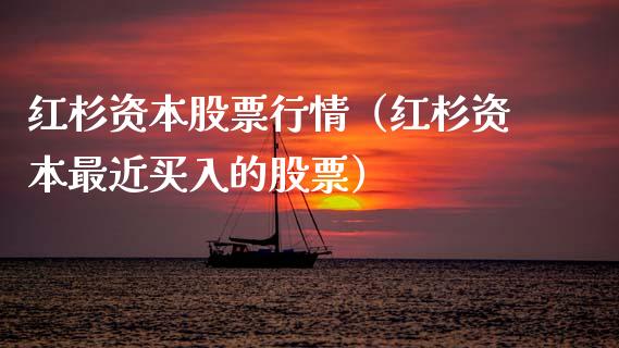 红杉资本股票行情（红杉资本最近买入的股票）_https://www.kuaijiepai.net_股票理论_第1张