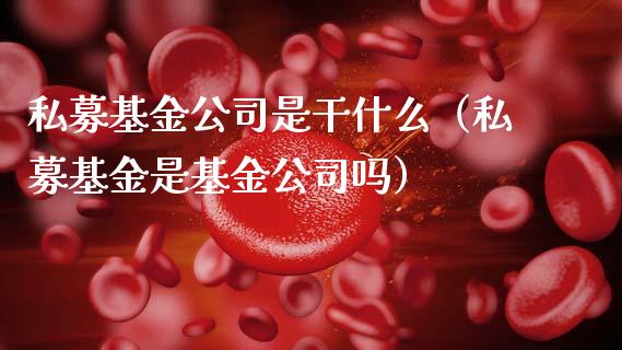 私募基金公司是干什么（私募基金是基金公司吗）_https://www.kuaijiepai.net_投资理财_第1张