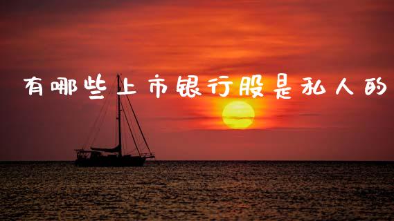 有哪些上市银行股是私人的_https://www.kuaijiepai.net_期货资讯_第1张
