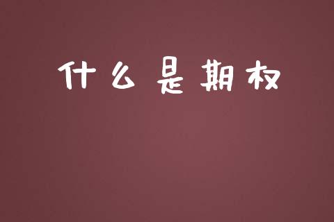 什么是期权_https://www.kuaijiepai.net_投资理财_第1张