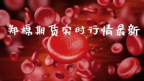 郑棉期货实时行情最新_https://www.kuaijiepai.net_期货在线_第1张