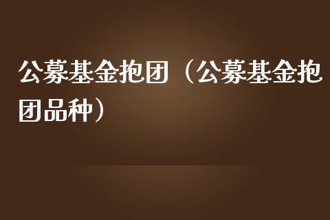 公募基金抱团（公募基金抱团品种）_https://www.kuaijiepai.net_期货理财_第1张