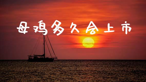 母鸡多久会上市_https://www.kuaijiepai.net_期货在线_第1张