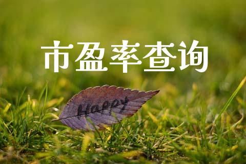 市盈率查询_https://www.kuaijiepai.net_国际期货_第1张