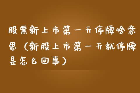 股票新上市第一天停牌啥意思（新股上市第一天就停牌是怎么回事）_https://www.kuaijiepai.net_股票理论_第1张