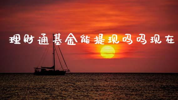 理财通基金能提现吗吗现在_https://www.kuaijiepai.net_投资理财_第1张