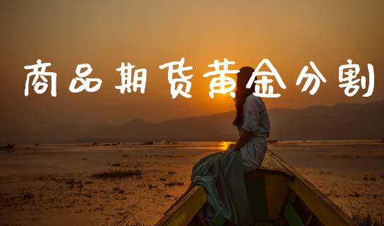 商品期货黄金分割_https://www.kuaijiepai.net_期货资讯_第1张