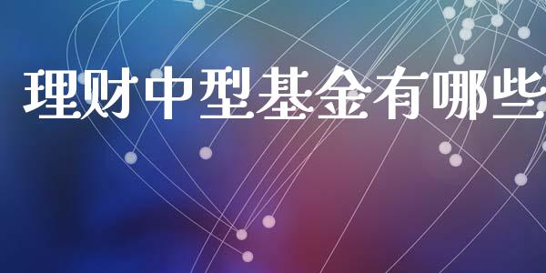 理财中型基金有哪些_https://www.kuaijiepai.net_投资理财_第1张