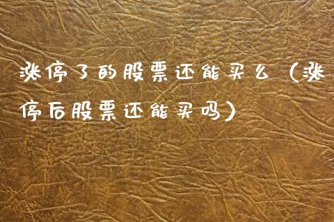 涨停了的股票还能买么（涨停后股票还能买吗）_https://www.kuaijiepai.net_股票理论_第1张