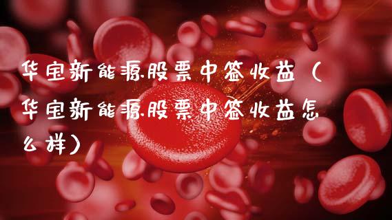 华宝新能源股票中签收益（华宝新能源股票中签收益怎么样）_https://www.kuaijiepai.net_股票理论_第1张