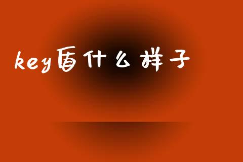 key盾什么样子_https://www.kuaijiepai.net_国际期货_第1张