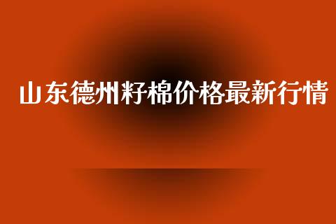 山东德州籽棉价格最新行情_https://www.kuaijiepai.net_期货资讯_第1张