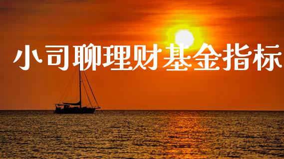 小司聊理财基金指标_https://www.kuaijiepai.net_投资理财_第1张