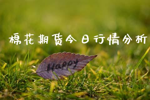 棉花期货今日行情分析_https://www.kuaijiepai.net_期货资讯_第1张