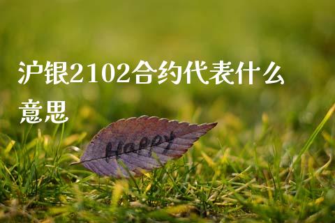 沪银2102合约代表什么意思_https://www.kuaijiepai.net_国际股建_第1张
