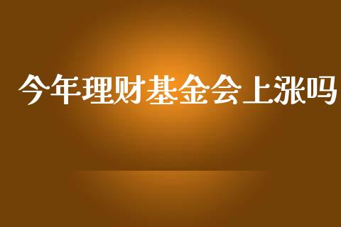 今年理财基金会上涨吗_https://www.kuaijiepai.net_投资理财_第1张