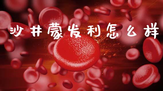 沙井蒙发利怎么样_https://www.kuaijiepai.net_国际期货_第1张