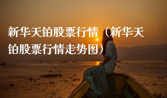 新华天铂股票行情（新华天铂股票行情走势图）_https://www.kuaijiepai.net_新股新闻_第1张