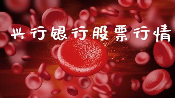 兴行银行股票行情_https://www.kuaijiepai.net_股票理论_第1张