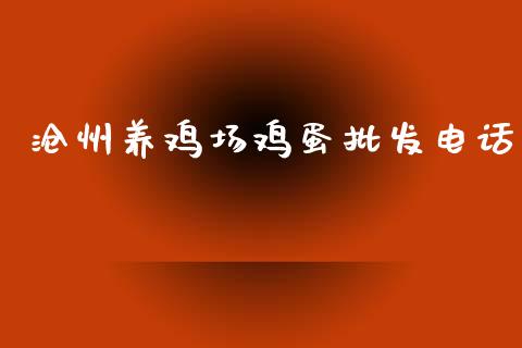 沧州养鸡场鸡蛋批发电话_https://www.kuaijiepai.net_国际期货_第1张