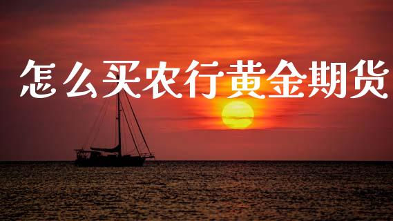 怎么买农行黄金期货_https://www.kuaijiepai.net_期货资讯_第1张
