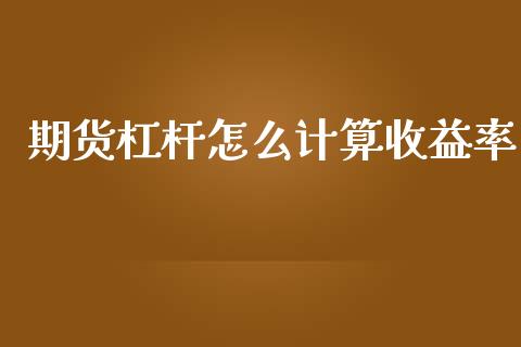 期货杠杆怎么计算收益率_https://www.kuaijiepai.net_股票理论_第1张