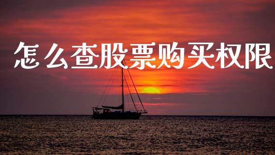 怎么查股票购买权限_https://www.kuaijiepai.net_国际股建_第1张