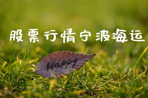 股票行情宁波海运_https://www.kuaijiepai.net_股票理论_第1张