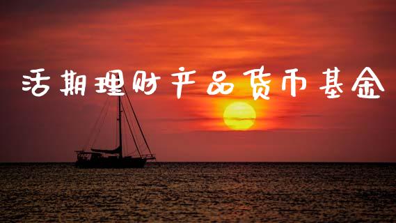 活期理财产品货币基金_https://www.kuaijiepai.net_期货理财_第1张