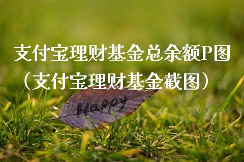 支付宝理财基金总余额P图（支付宝理财基金截图）_https://www.kuaijiepai.net_期货理财_第1张