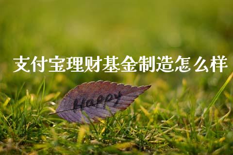 支付宝理财基金制造怎么样_https://www.kuaijiepai.net_投资理财_第1张