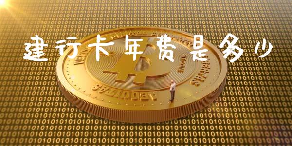 建行卡年费是多少_https://www.kuaijiepai.net_期货在线_第1张