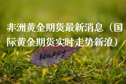 非洲黄金期货最新消息（国际黄金期货实时走势新浪）_https://www.kuaijiepai.net_期货资讯_第1张