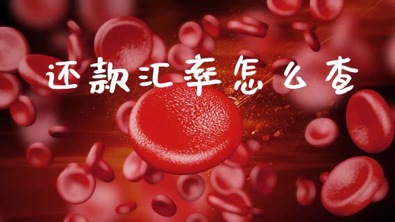 还款汇率怎么查_https://www.kuaijiepai.net_投资理财_第1张