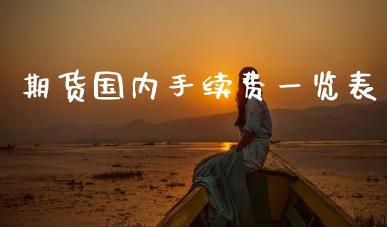 期货国内手续费一览表_https://www.kuaijiepai.net_期货资讯_第1张