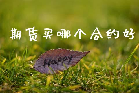 期货买哪个合约好_https://www.kuaijiepai.net_国际期货_第1张