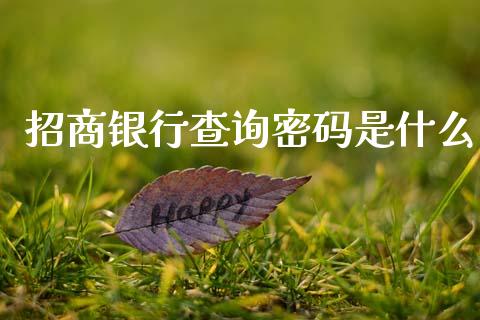 招商银行查询密码是什么_https://www.kuaijiepai.net_新股新闻_第1张