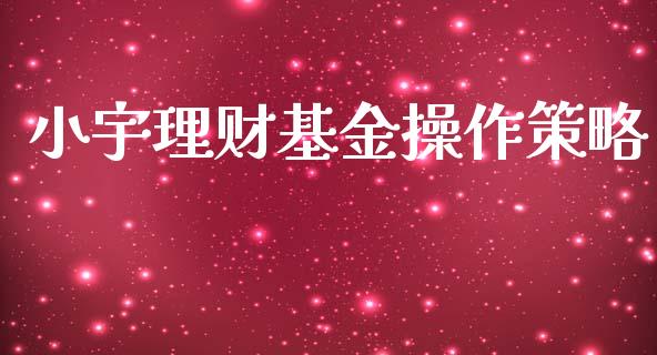 小宇理财基金操作策略_https://www.kuaijiepai.net_期货理财_第1张