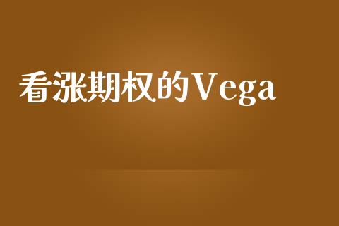 看涨期权的Vega_https://www.kuaijiepai.net_期货资讯_第1张