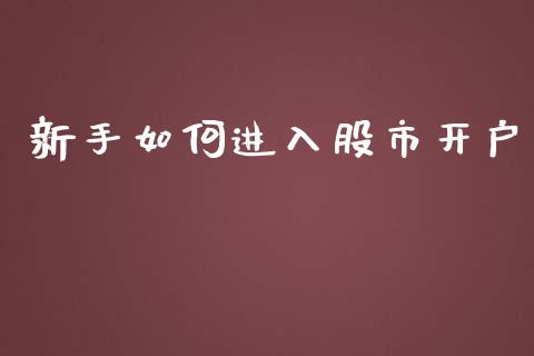 新手如何进入股市开户_https://www.kuaijiepai.net_国际期货_第1张