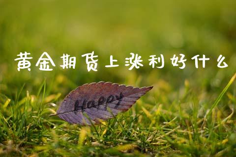 黄金期货上涨利好什么_https://www.kuaijiepai.net_期货资讯_第1张