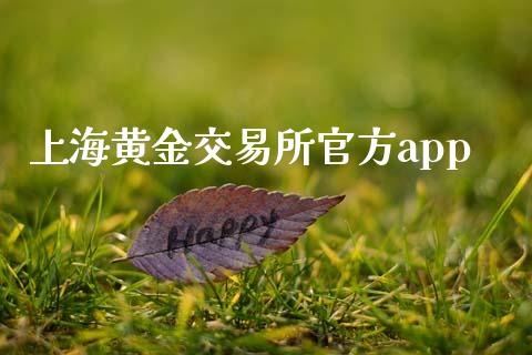 上海黄金交易所官方app_https://www.kuaijiepai.net_期货在线_第1张