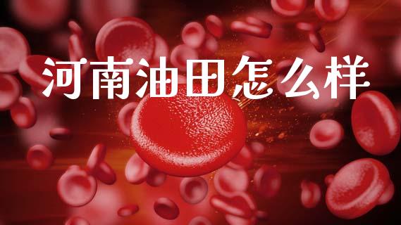 河南油田怎么样_https://www.kuaijiepai.net_投资理财_第1张